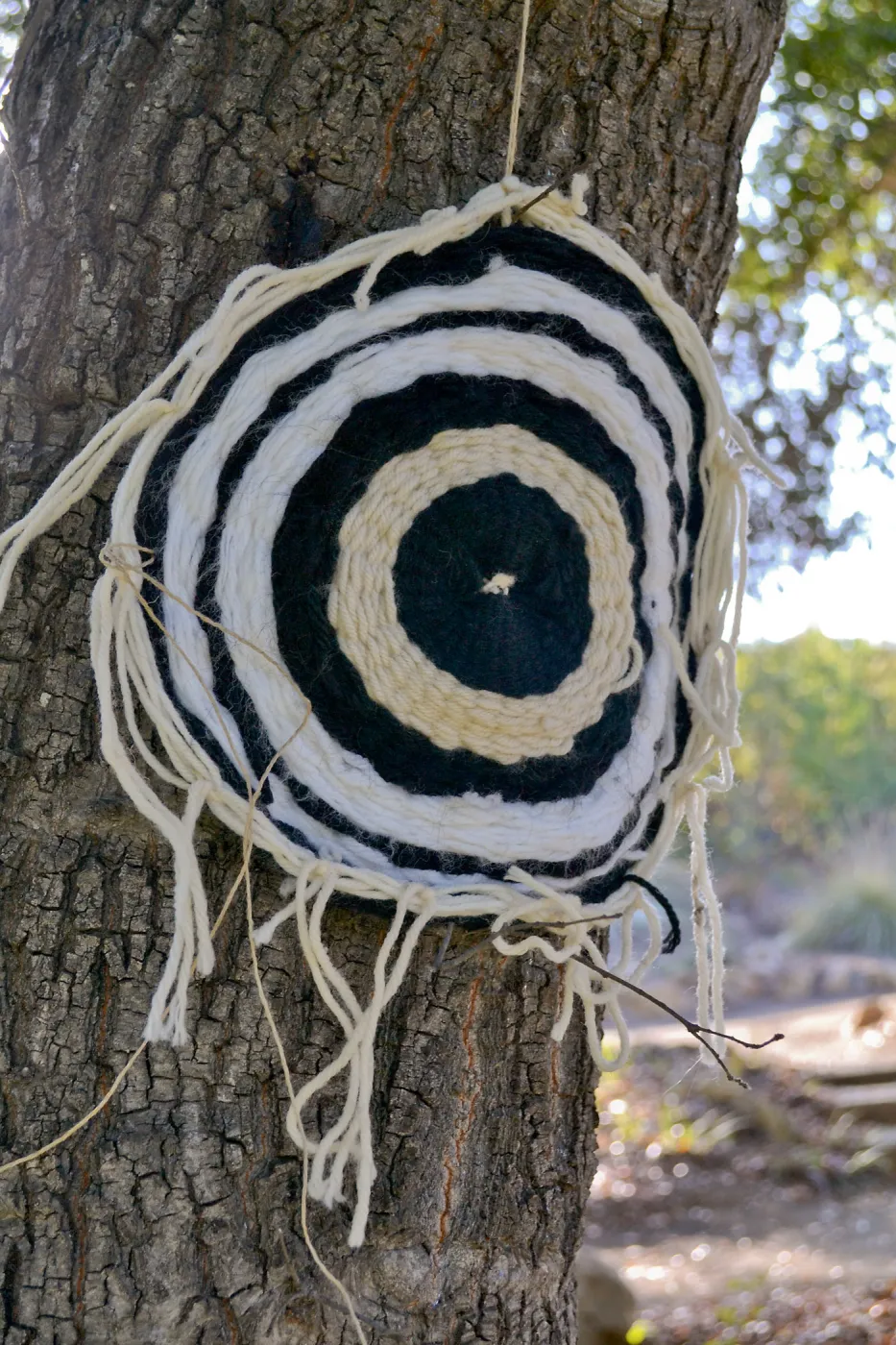 Dormant Dreams Yarn Blast, Coast Oak Circles