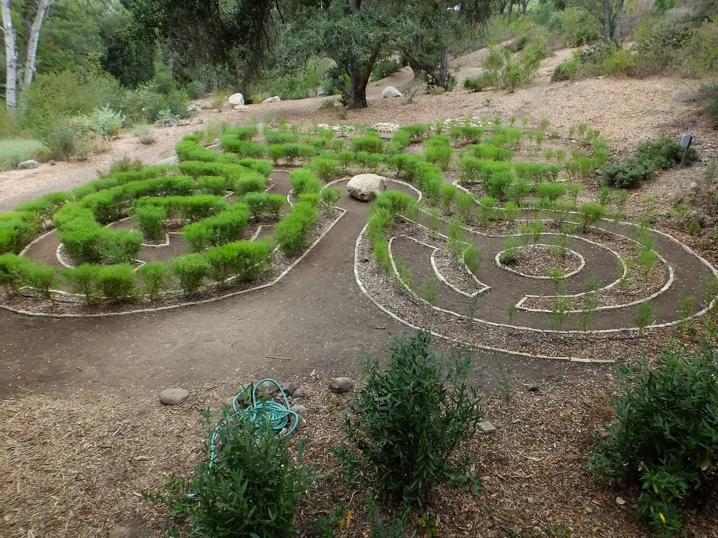Centennial Maze