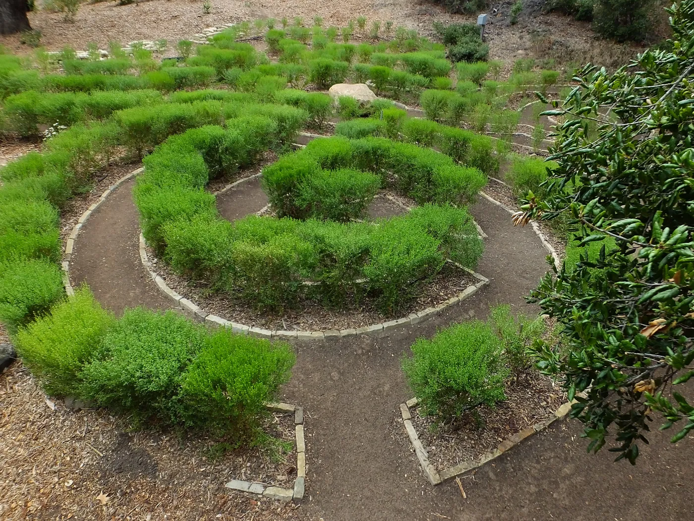 Centennial Maze