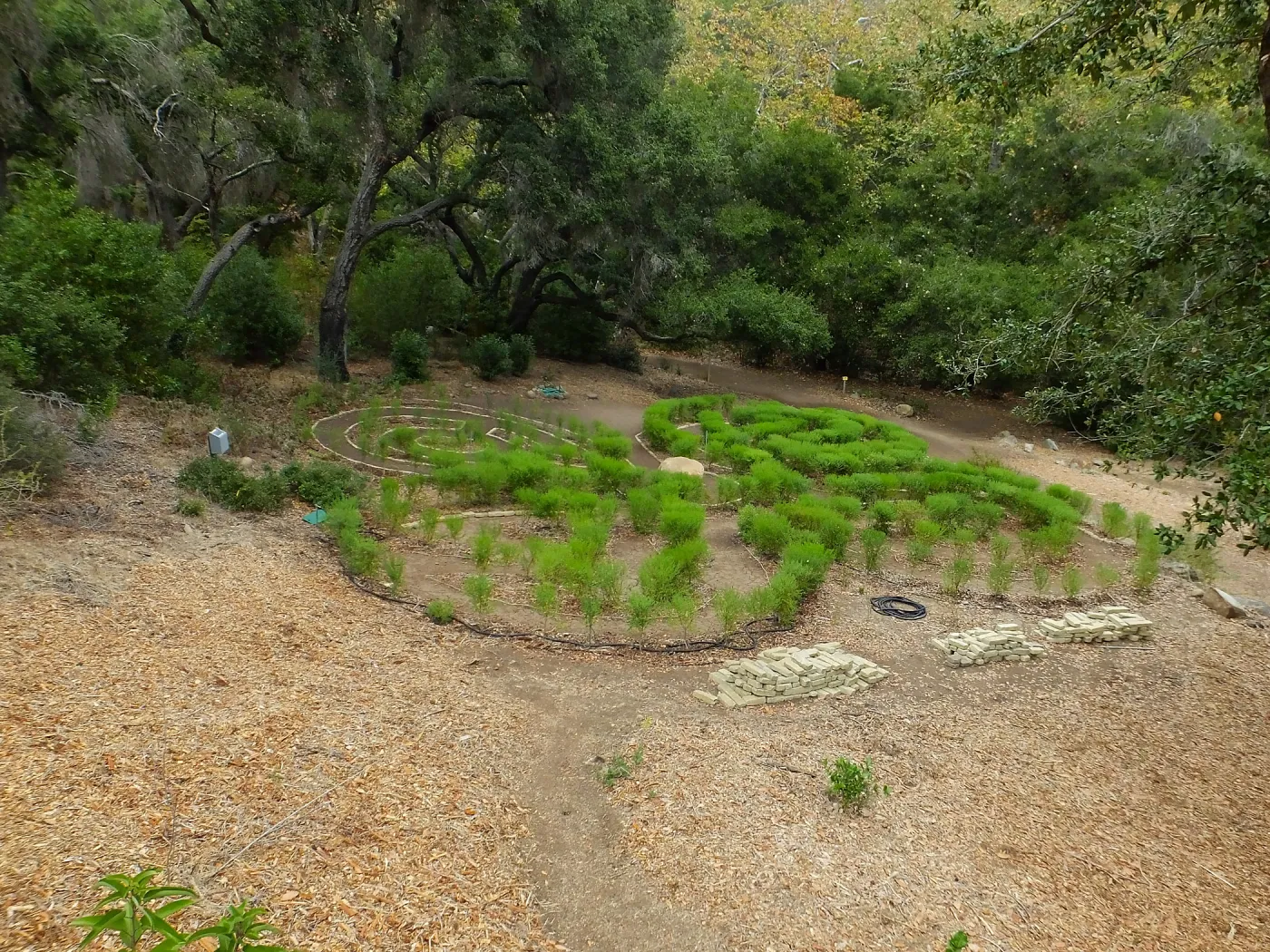 Centennial Maze