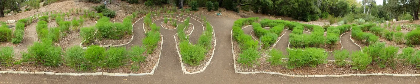 Centennial Maze