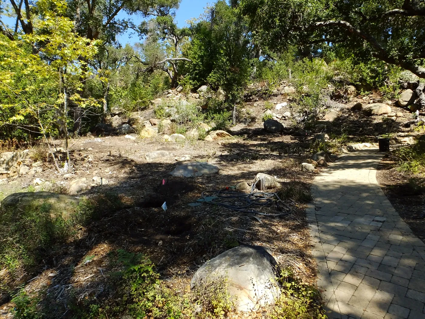 Wooded Dell site preparation
