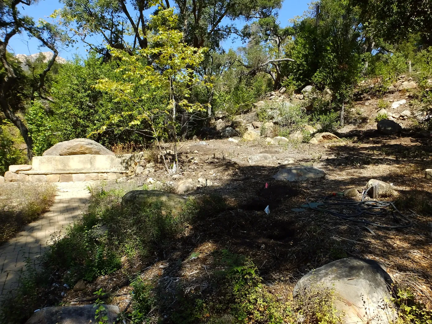 Wooded Dell site preparation