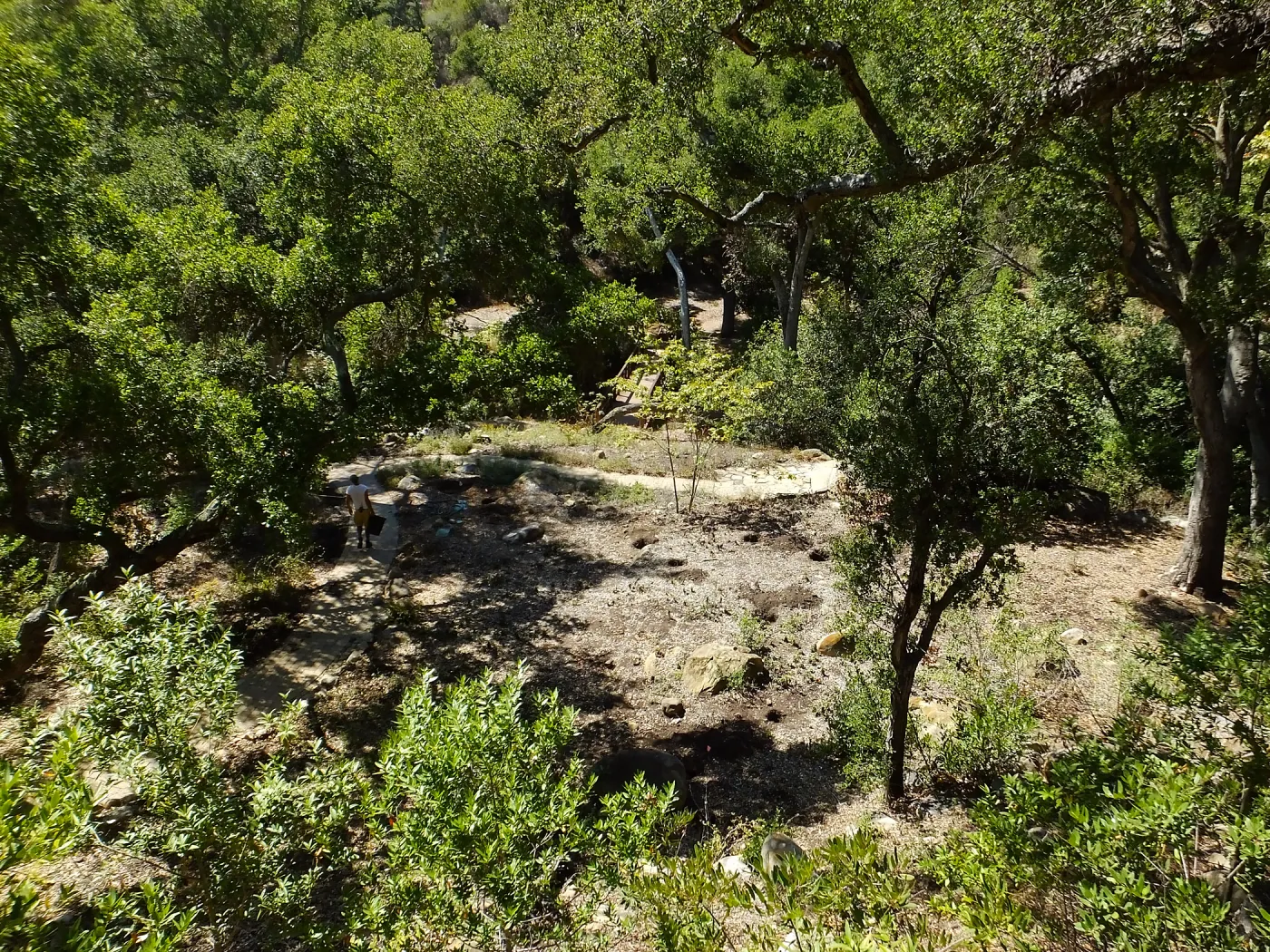 Wooded Dell site preparation, view from picnic area