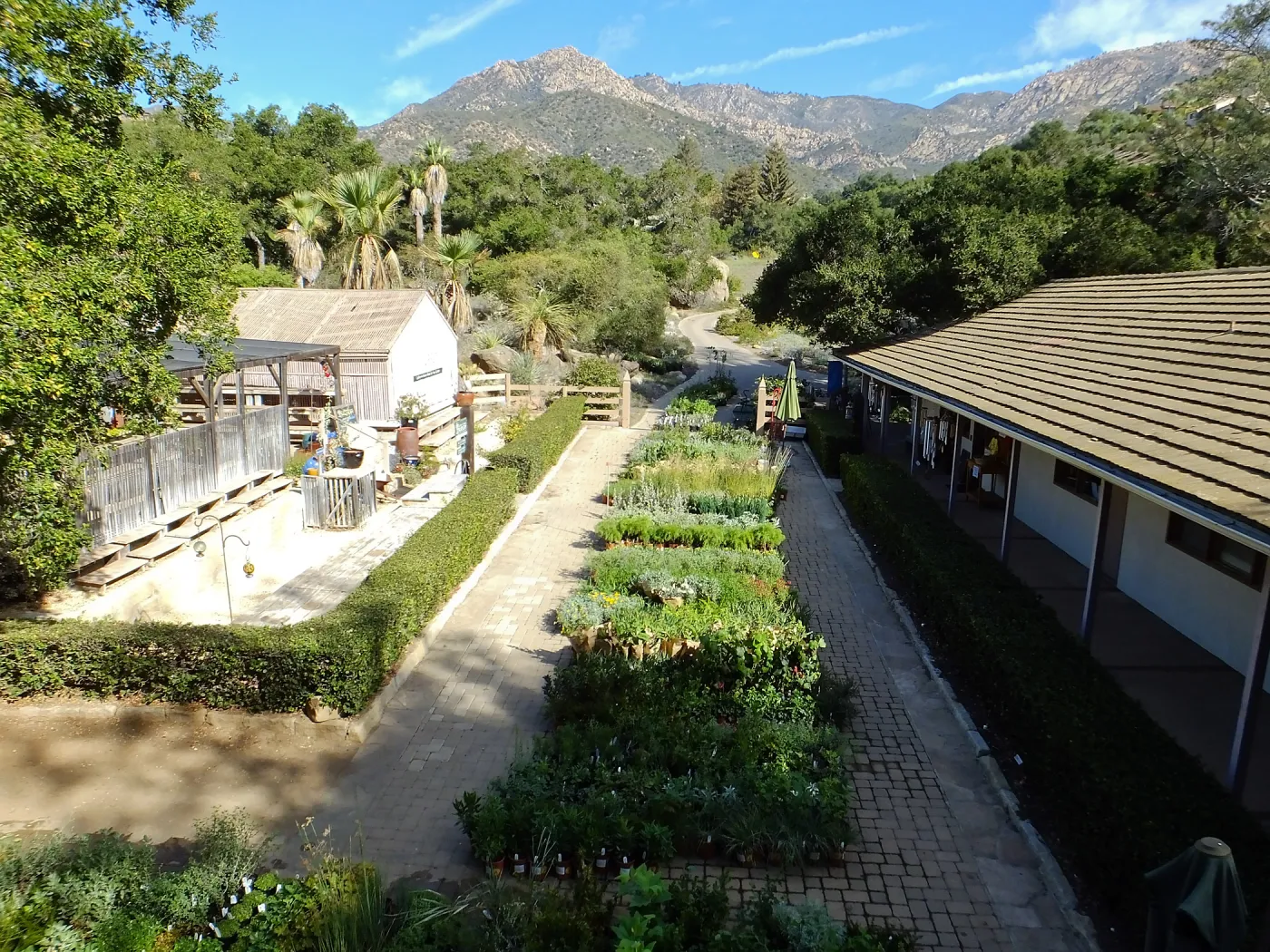 Fall Plant Sale 2015 preparations