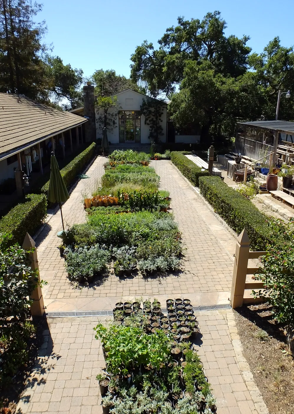 Fall Plant Sale 2015 preparations