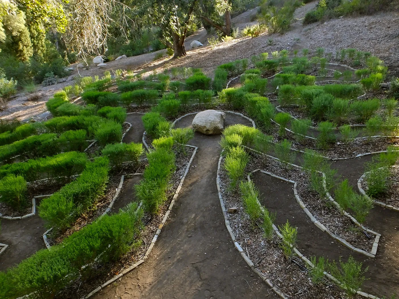 Centennial Maze