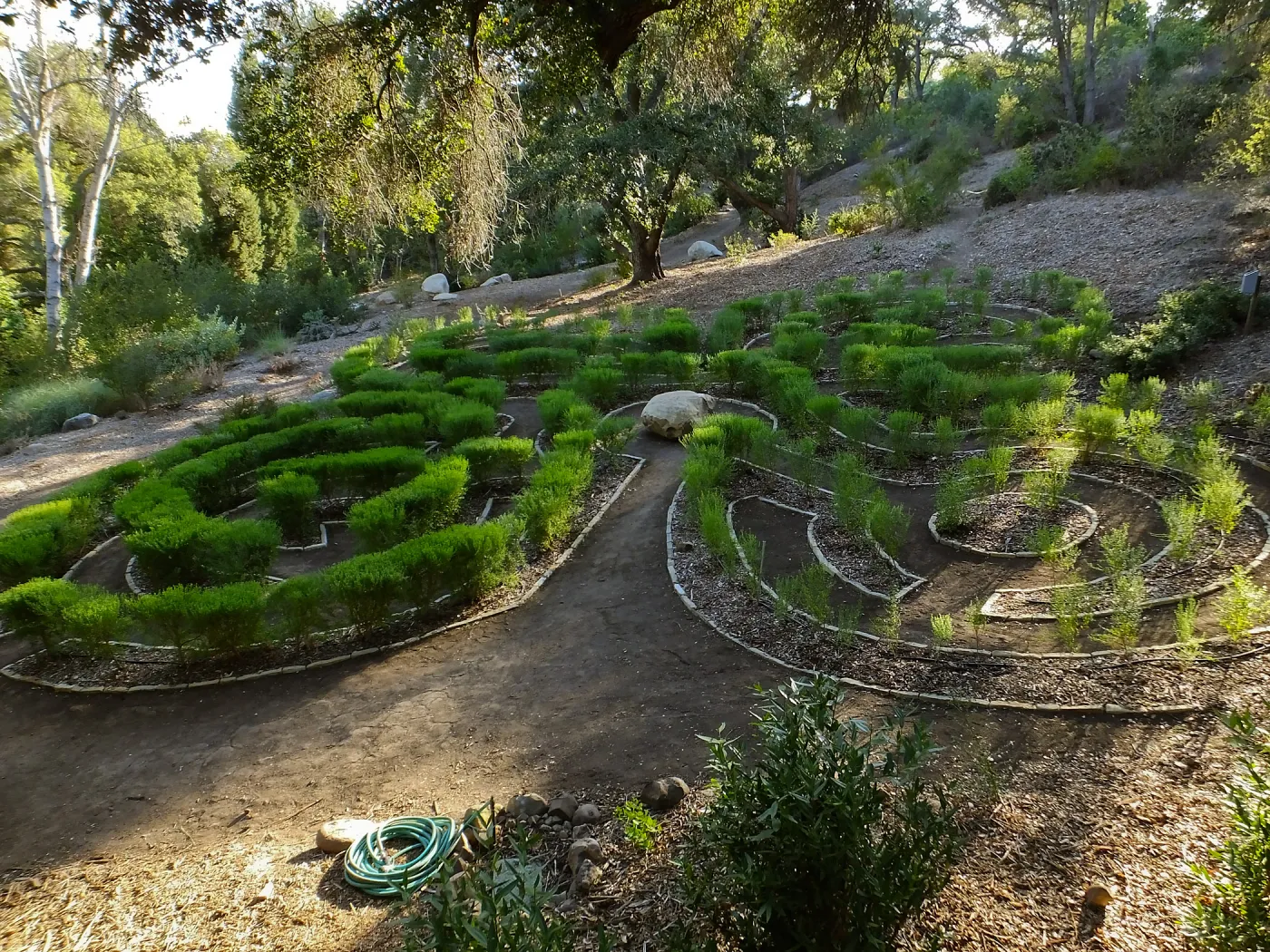 Centennial Maze