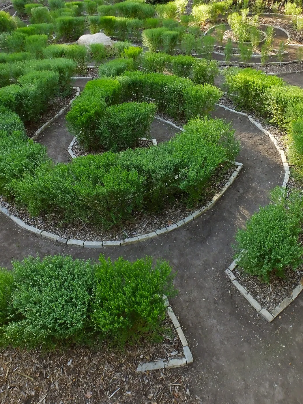 Centennial Maze