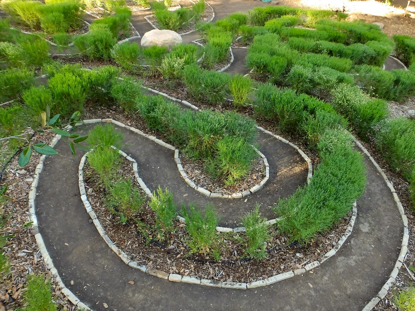 Centennial Maze