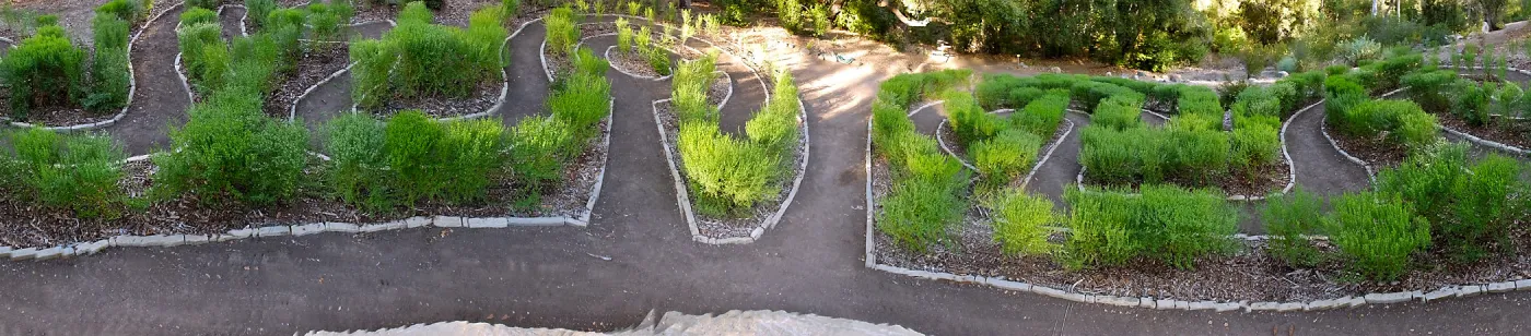 Centennial Maze