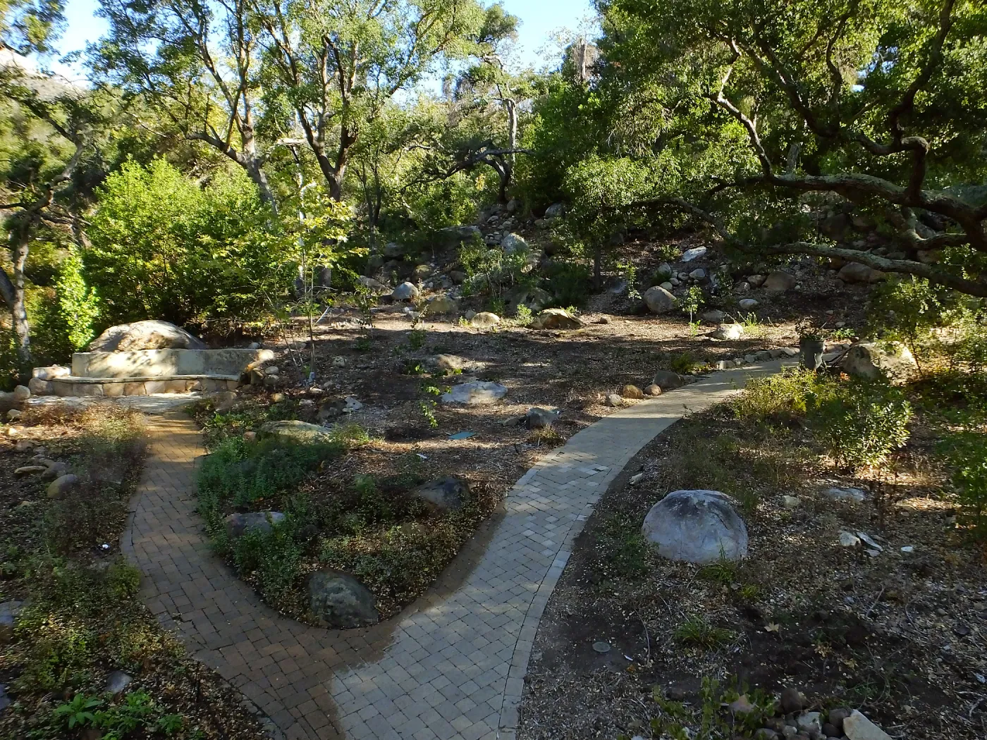 Wooded Dell, newly planted trees