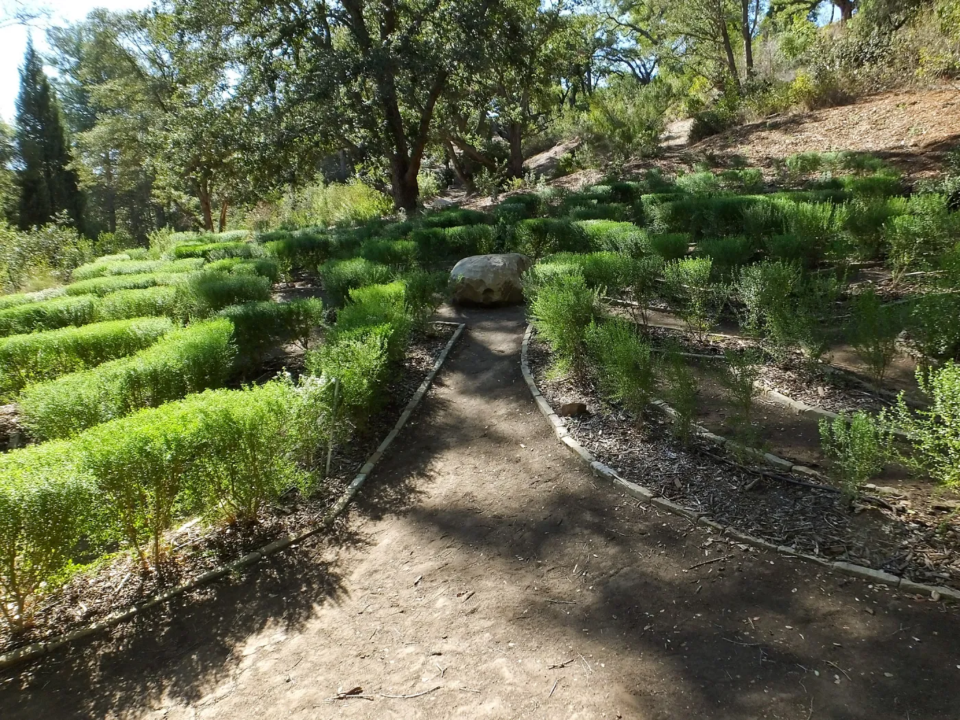 Centennial Maze