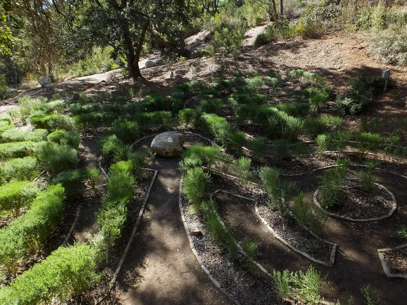 Centennial Maze