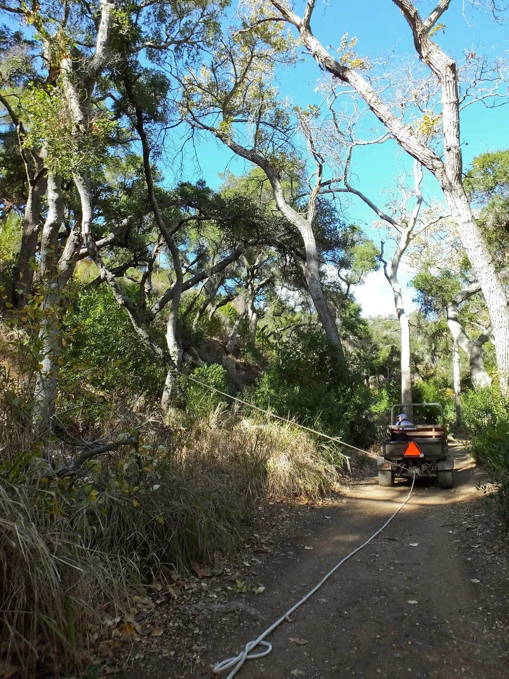 Clearing a broken tree branch