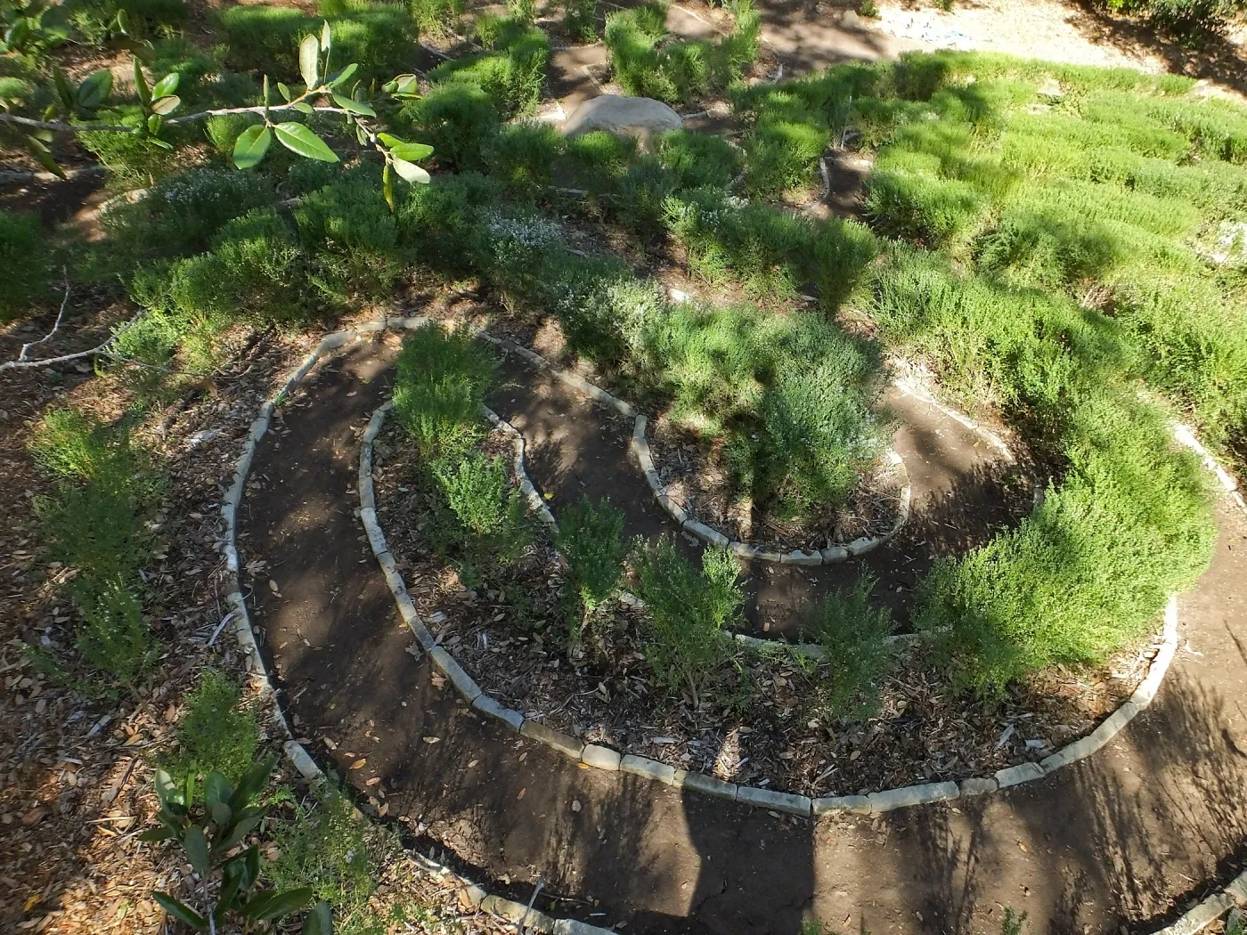 Centennial Maze