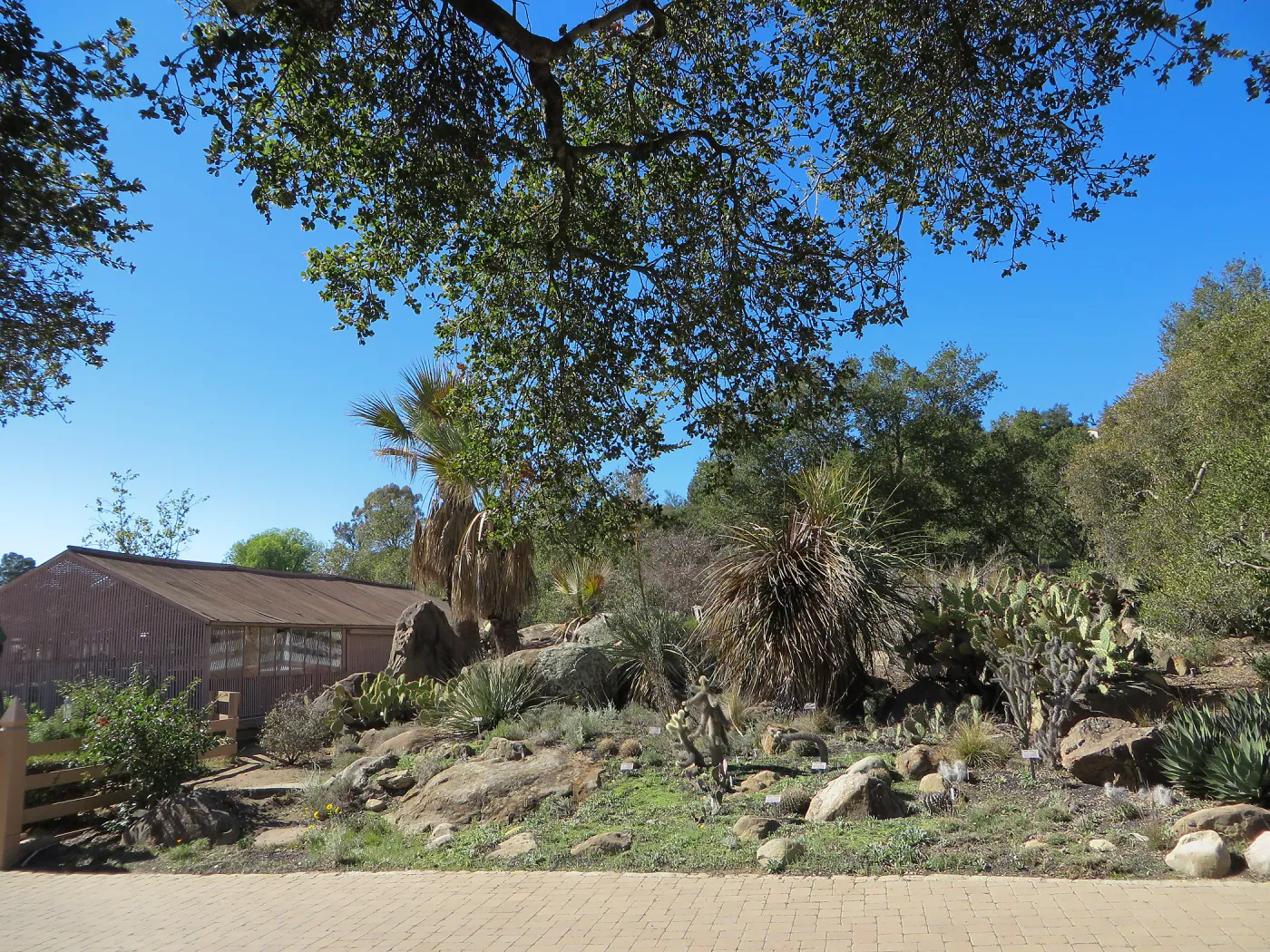 Desert Section