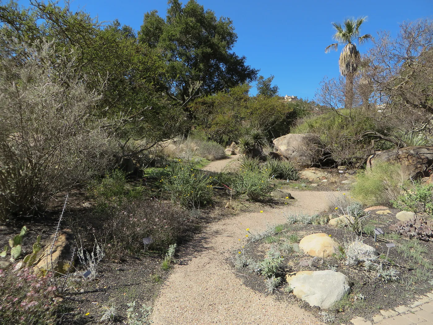 Desert Section