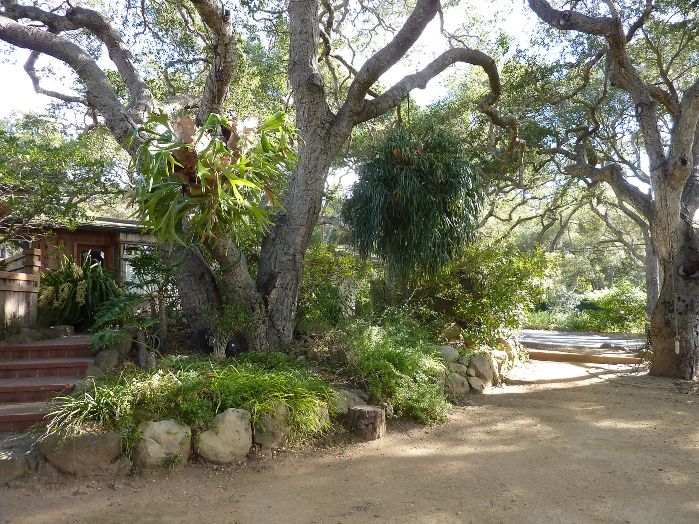 Naiman Garden, 2014 Native Garden Tour