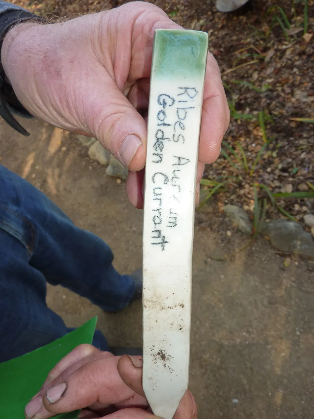 Naiman Garden, 2014 Native Garden Tour
