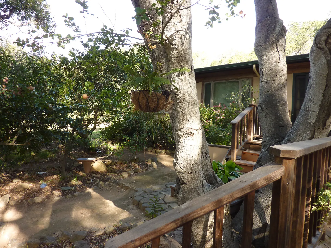 Naiman Garden, 2014 Native Garden Tour