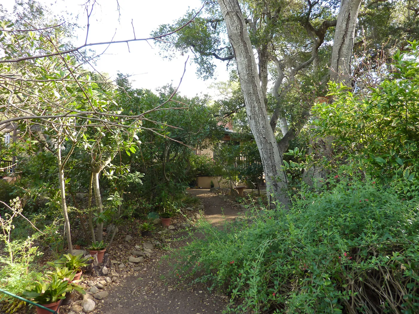 Naiman Garden, 2014 Native Garden Tour