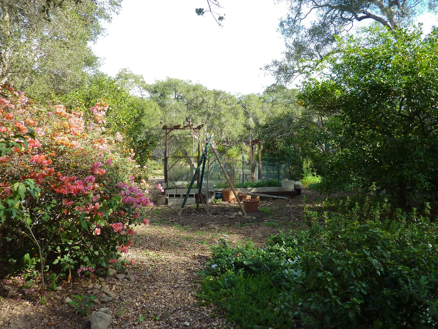 Naiman Garden, 2014 Native Garden Tour