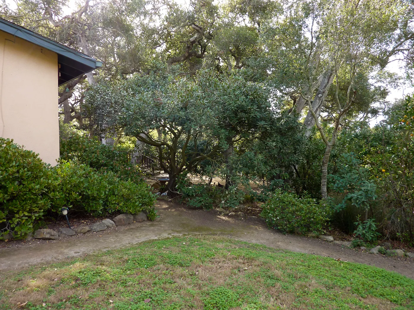 Naiman Garden, 2014 Native Garden Tour