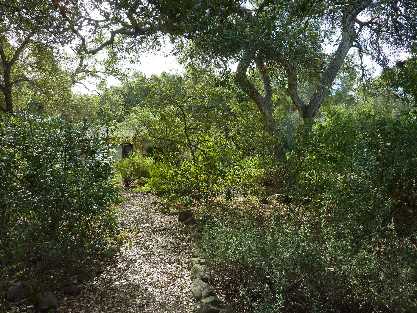 Naiman Garden, 2014 Native Garden Tour