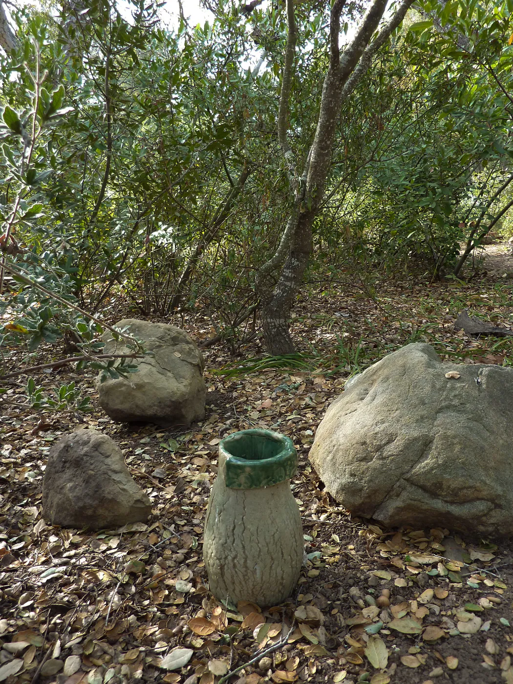 Naiman Garden, 2014 Native Garden Tour