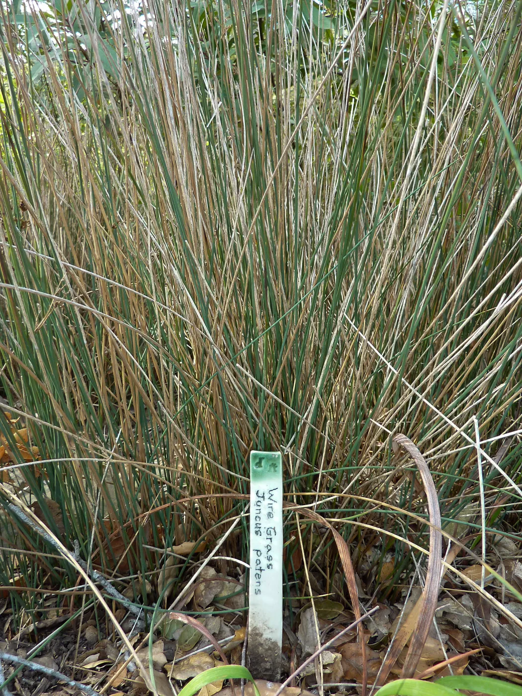 Naiman Garden, 2014 Native Garden Tour