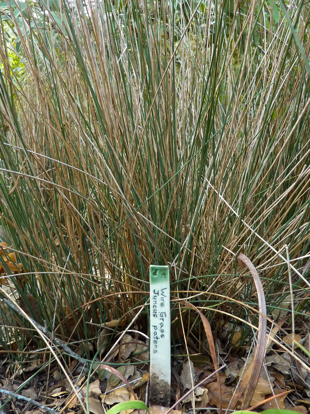 Naiman Garden, 2014 Native Garden Tour
