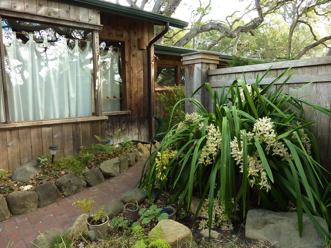 Naiman Garden, 2014 Native Garden Tour