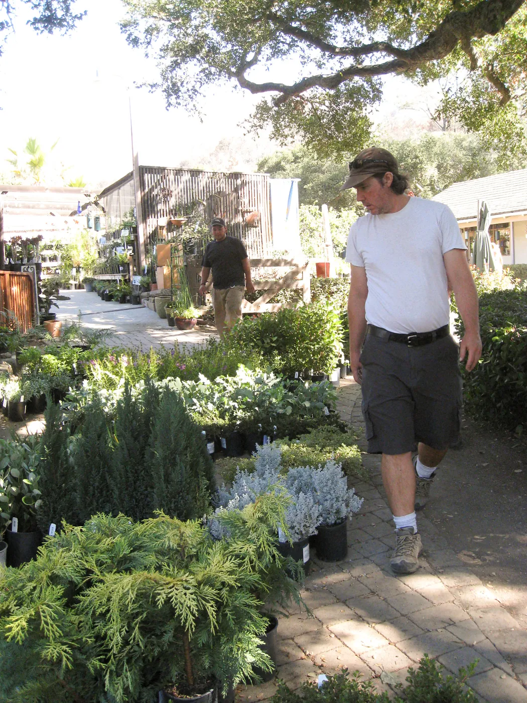 2009 Fall Plant Sale set-up, Bruce Reed