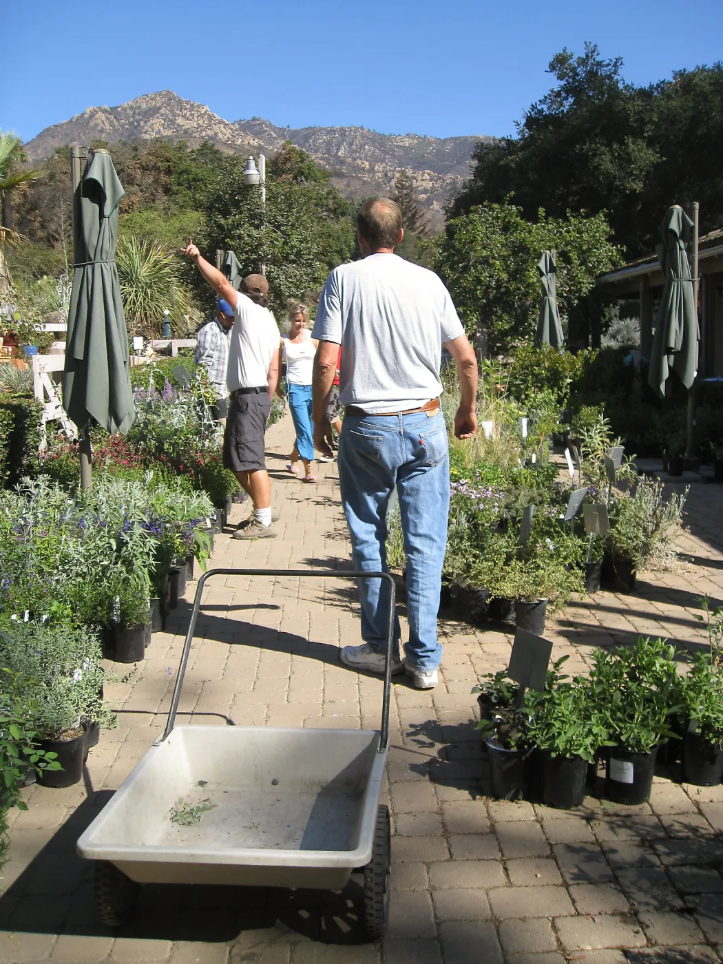 2009 Fall Plant Sale set-up