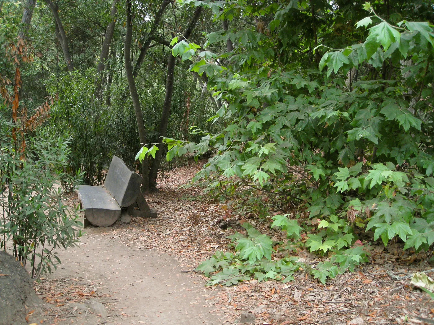 Ford Bench