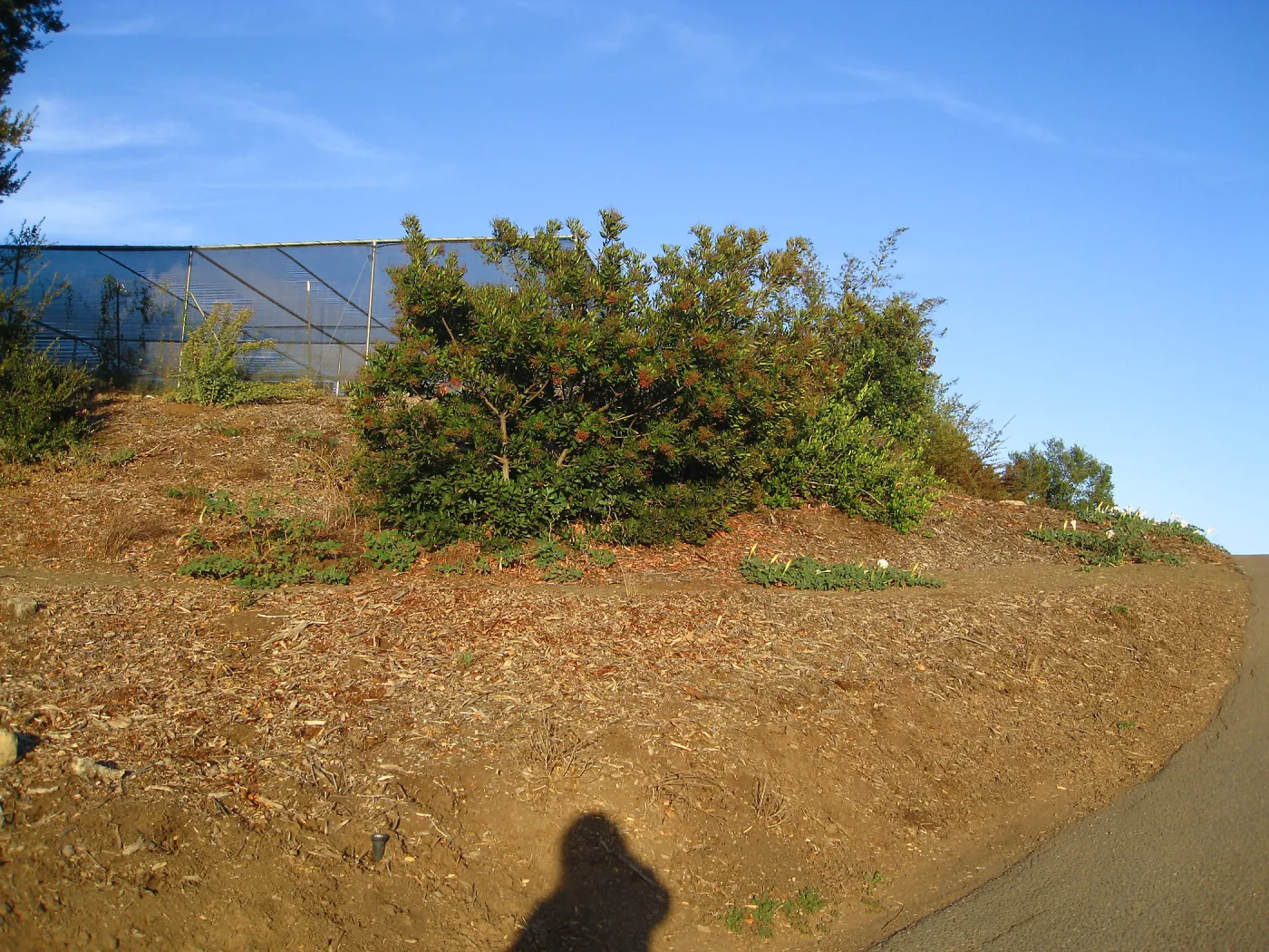 Southwest Trail, looking up to the Garden Growers Canyard