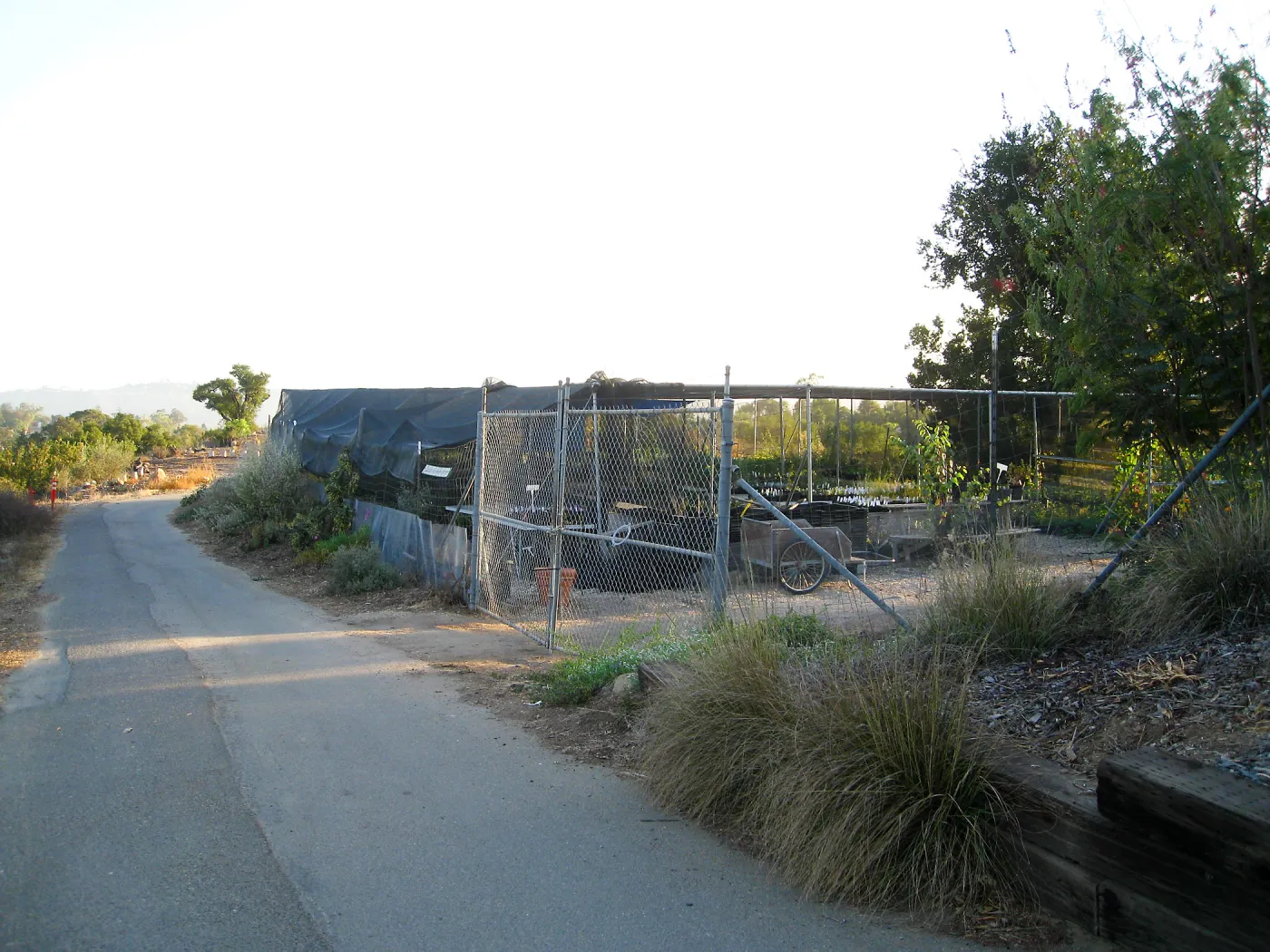 East side diveway, looking southwest to the Garden Growers Canyard