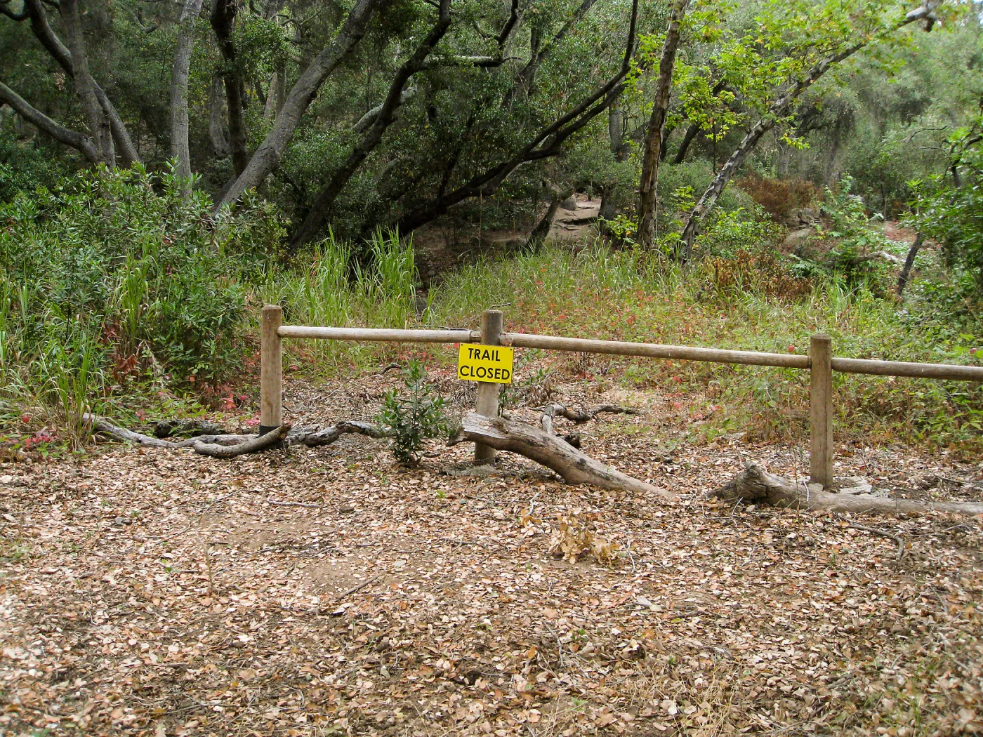 Directional signage in lower Canyon