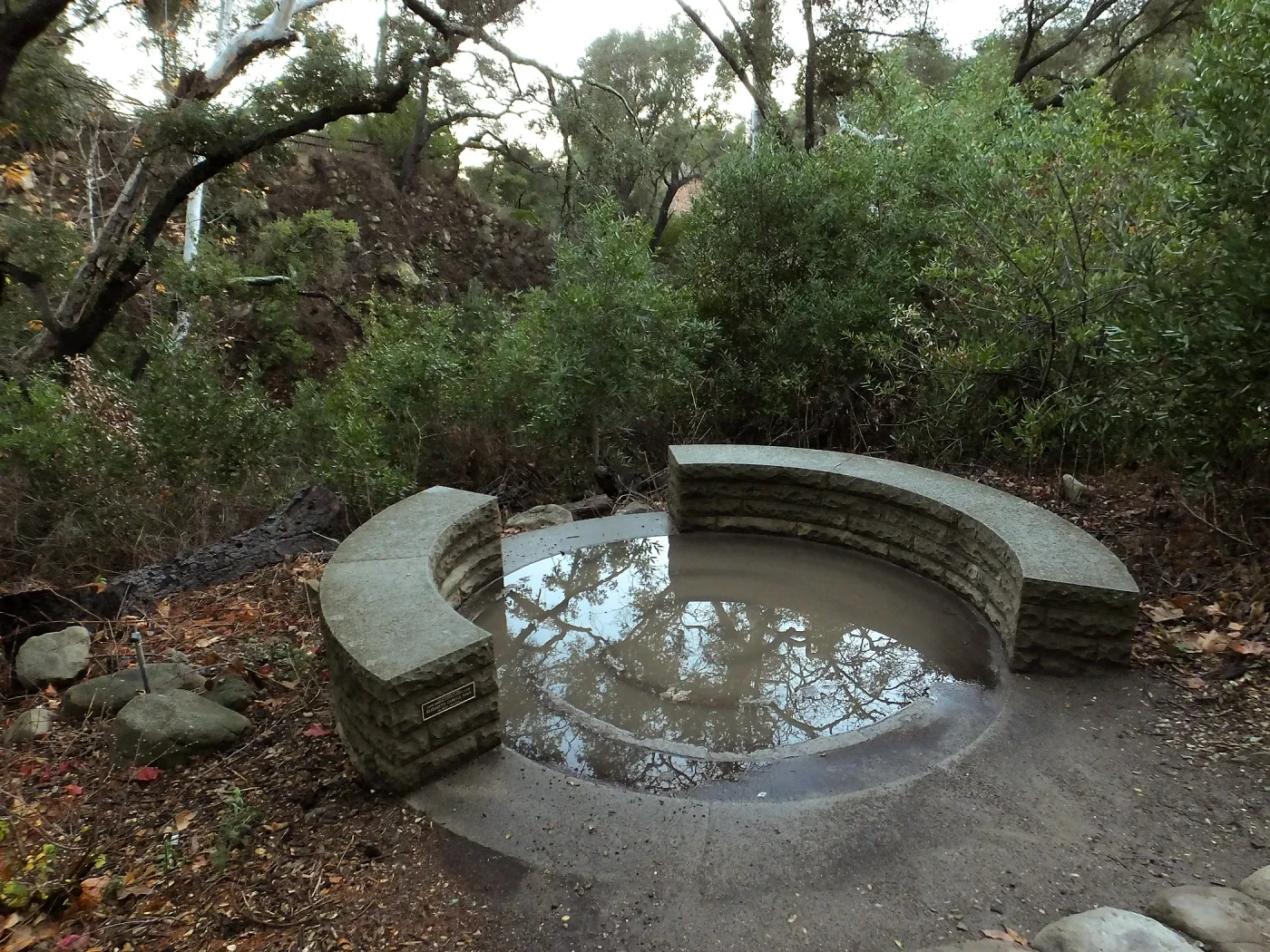 Water in Elizabeth Cargill Hall Spiral Bench after rainfall
