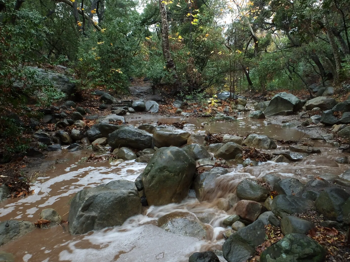 Lower creek crossing after rain storm