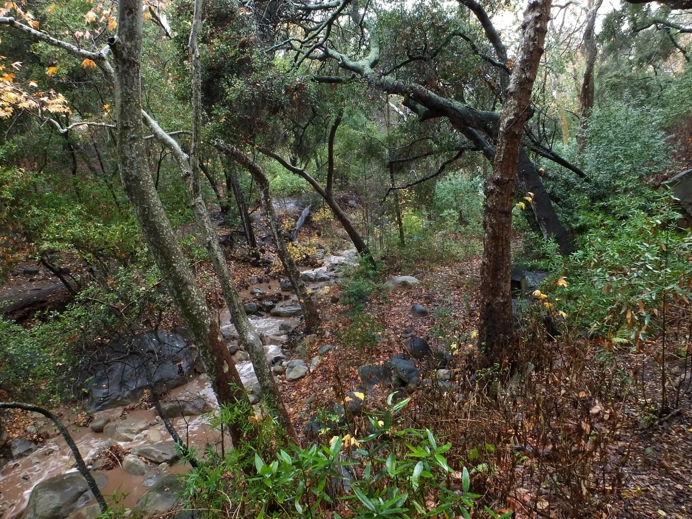 Mission Creek just above lower crossing after rainfall