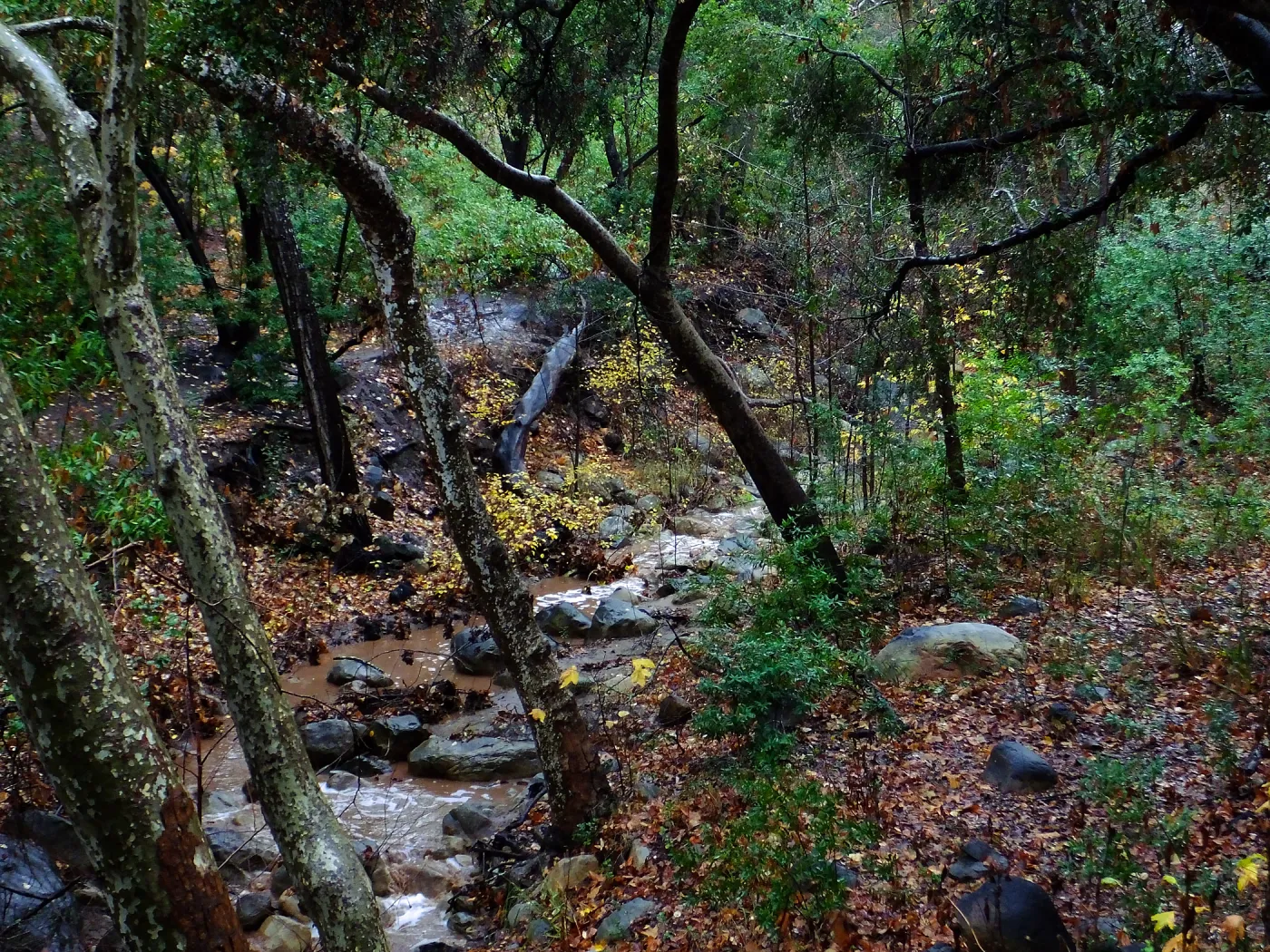 Mission Creek just above lower crossing after rainfall