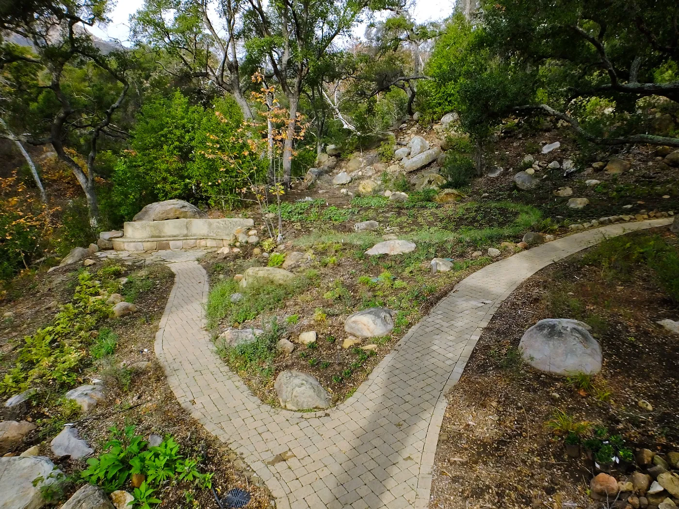 Wooded Dell after completion of main section planting