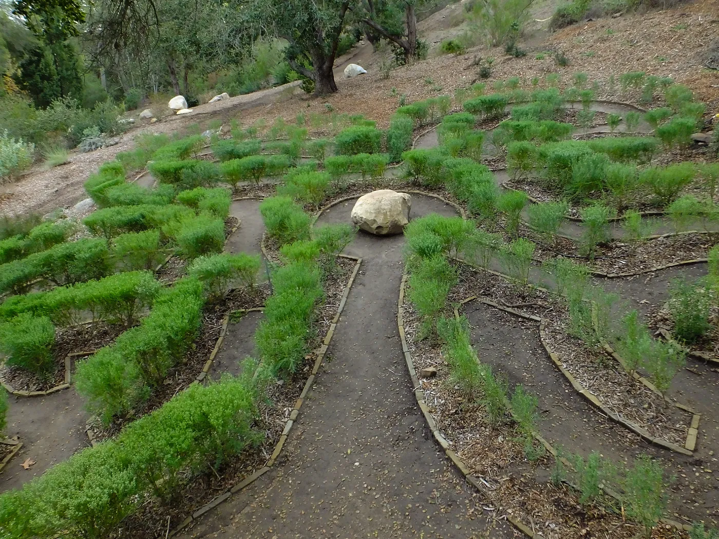 Centennial Maze