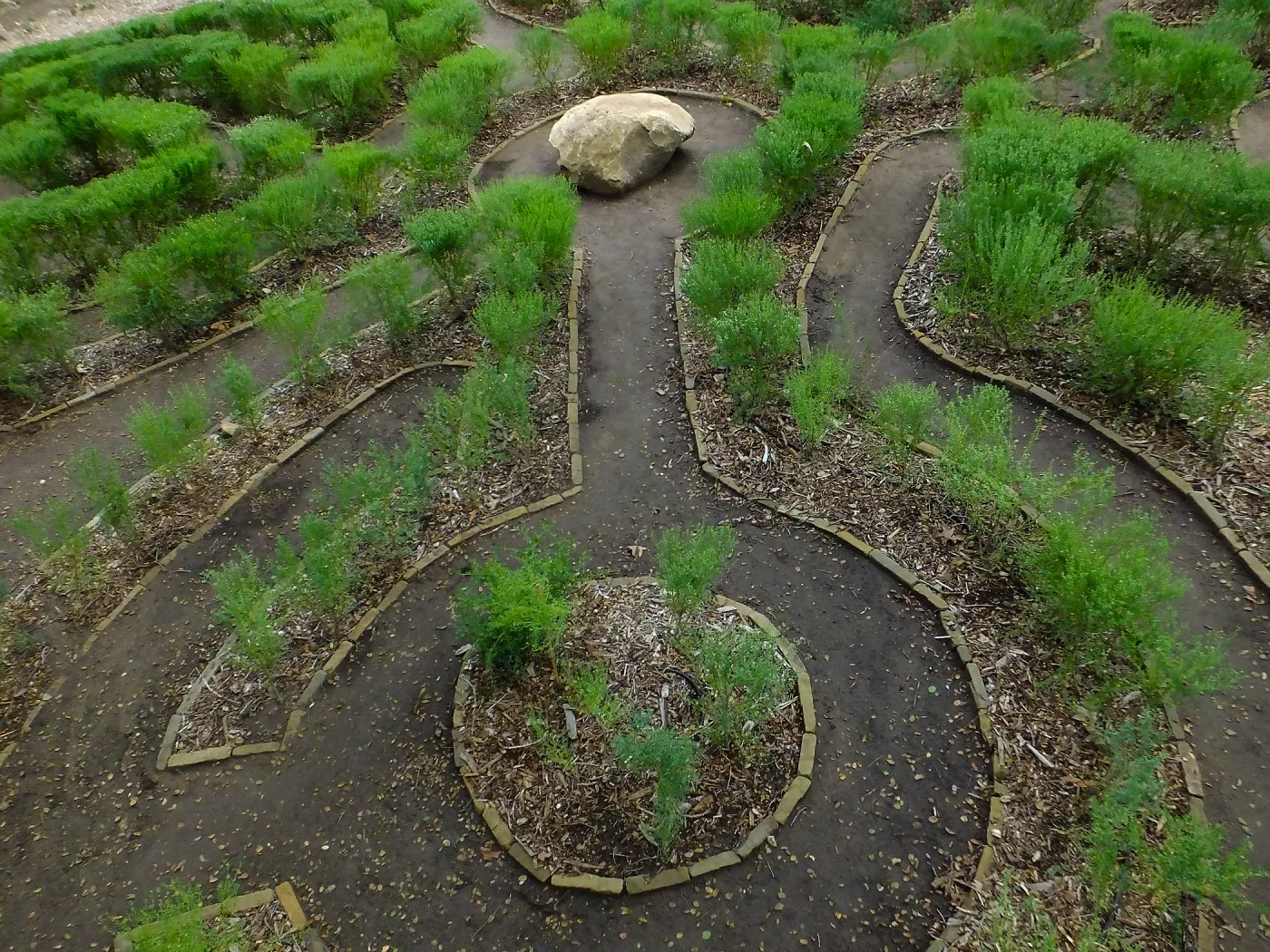 Centennial Maze