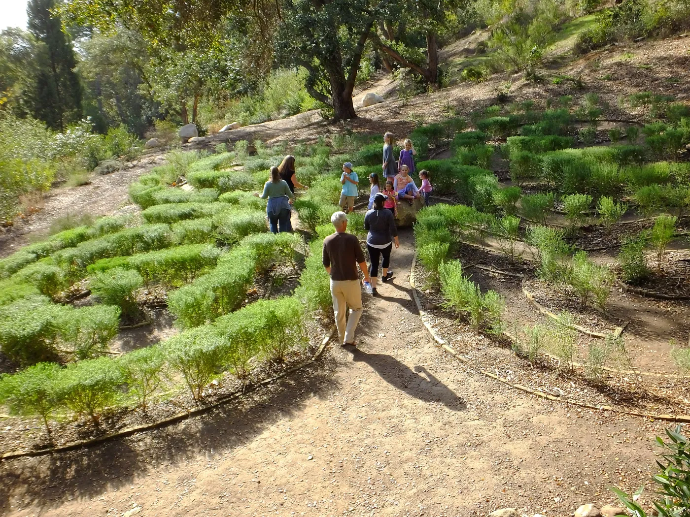 Children in the Centennial Maze