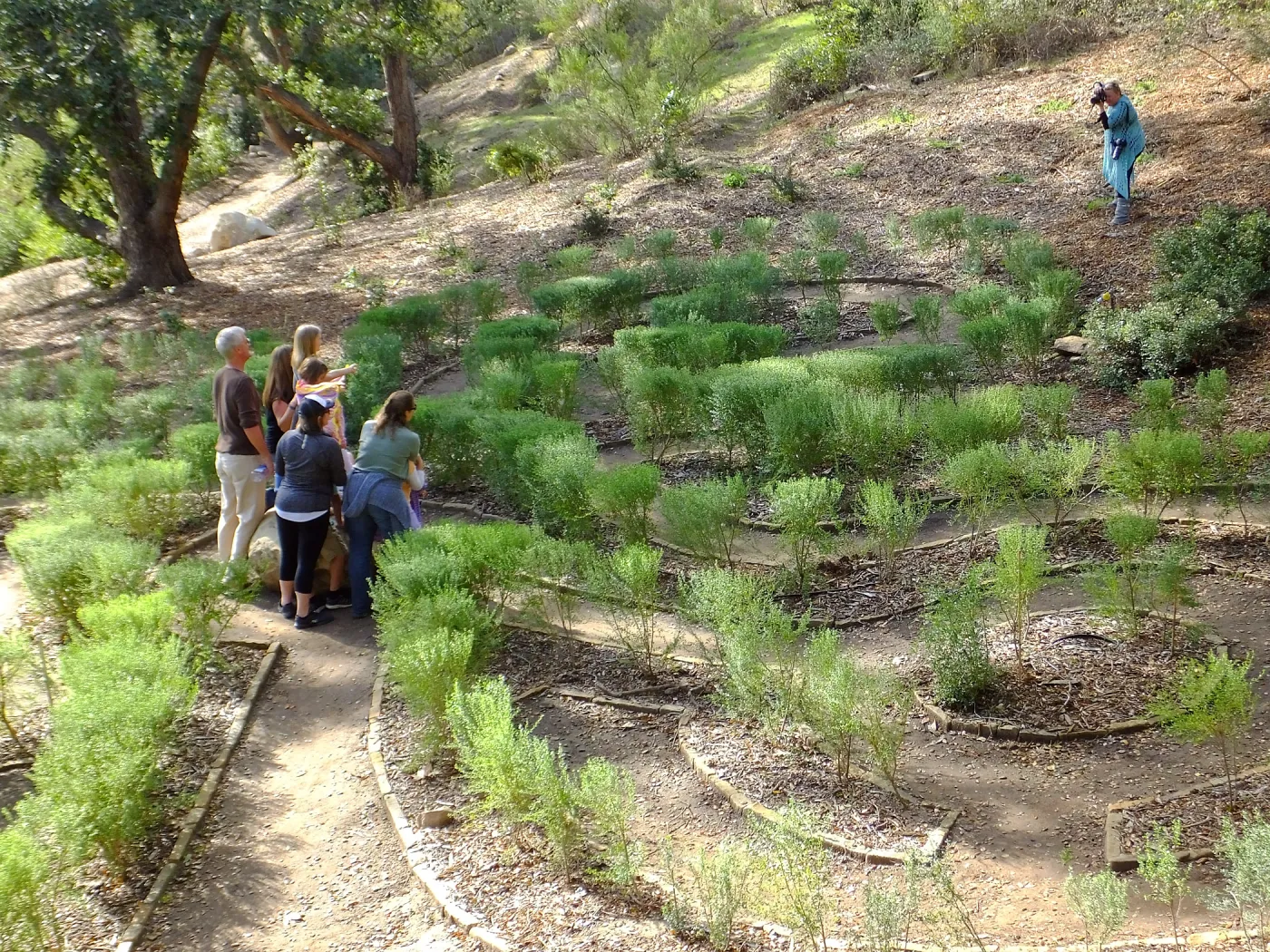 Children in the Centennial Maze