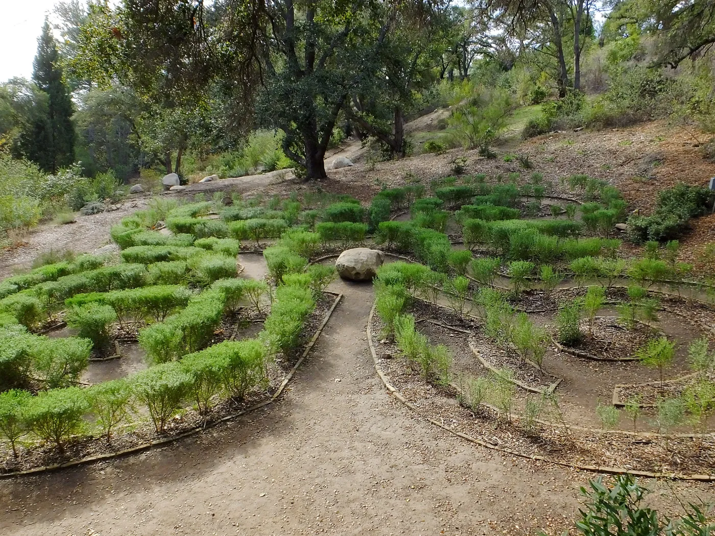 Centennial Maze