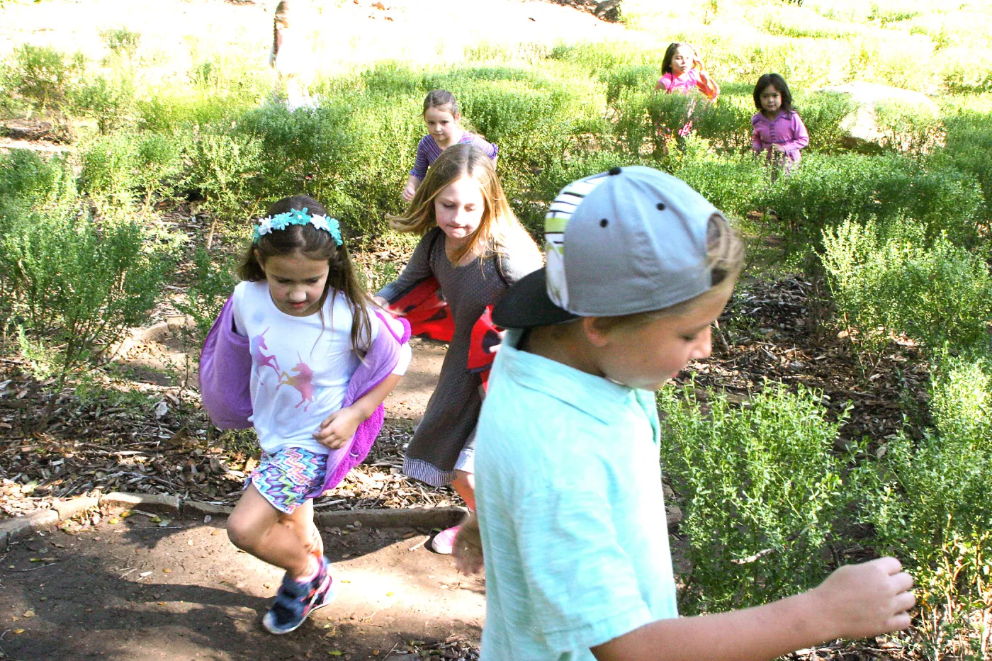 Children in the Centennial Maze